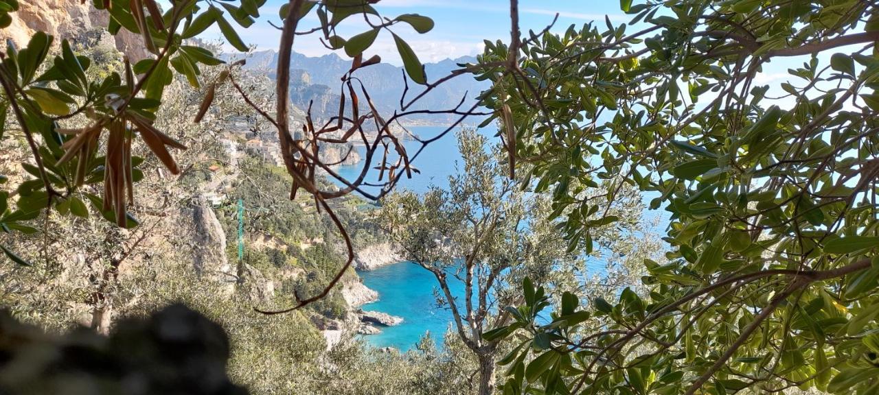 Il Fienile Villa Conca dei Marini Ngoại thất bức ảnh